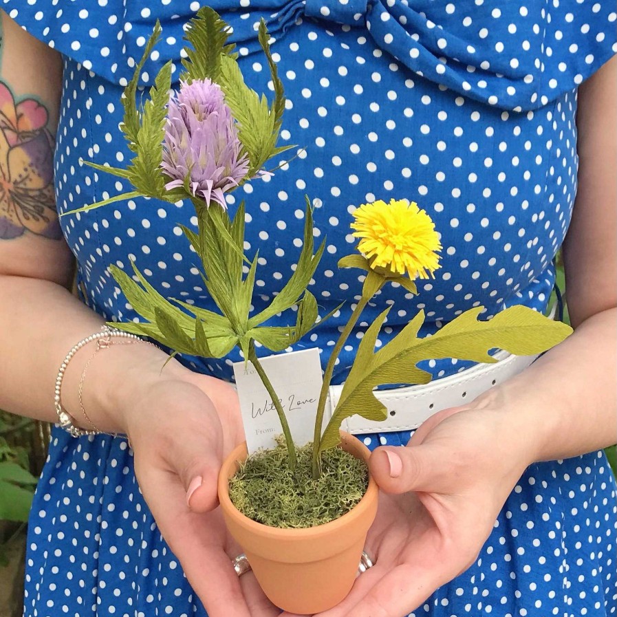 Gifts Paper Kate Studio | Paper Thistle And Dandelion Tiny Wildflower Pot With Gift Tag