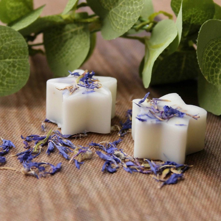 Gifts Hollie Tree Scents | 4 Ylang Ylang & Wild Orchid Luxury Wax Melts