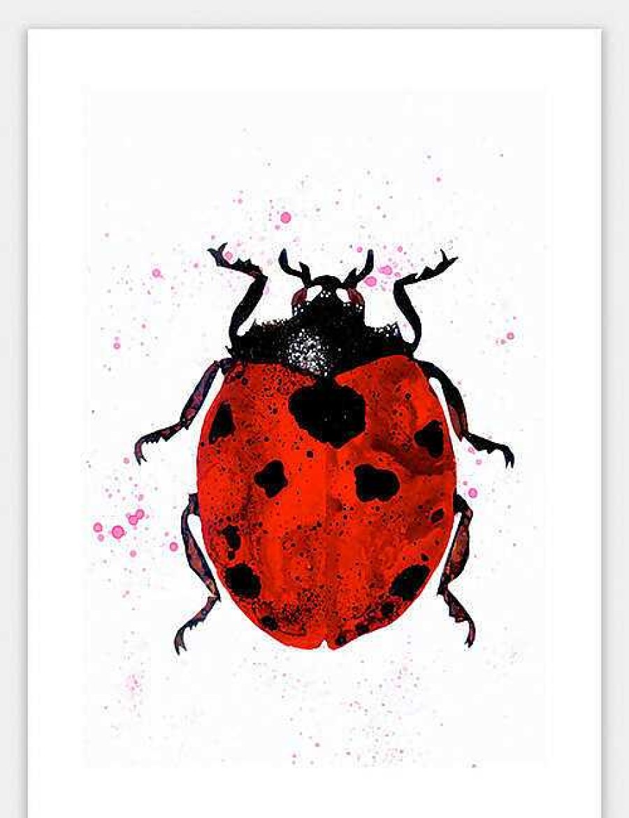 Gifts Katrina Mansfield | Animal Ink Fine Art Giclee Prints (353Mm X 480Mm)