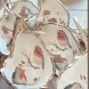 Gifts Periwinkle Shells | Robin Decoration Oyster