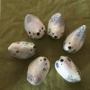 Ceramics & Pottery Seafan Ceramics | Ceramic Chick