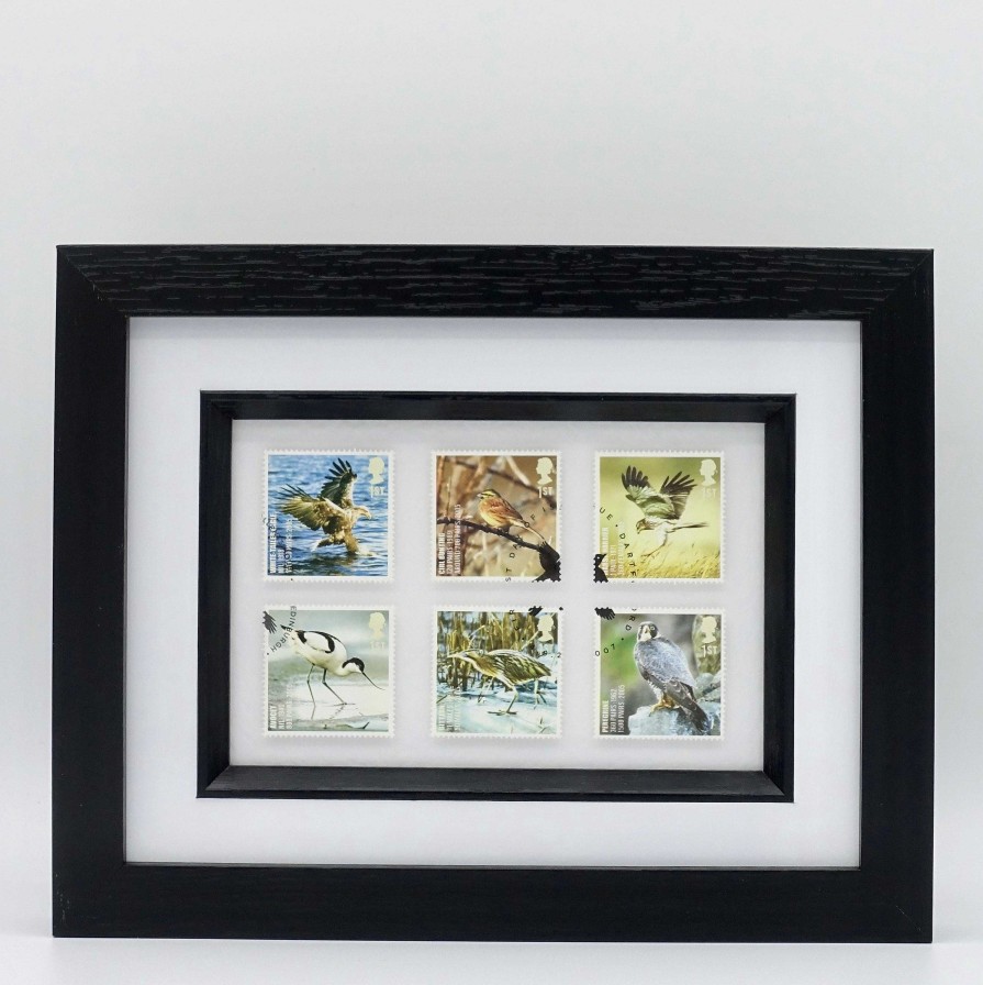 Gifts Postage Stamp Art | Birds