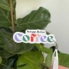 Gifts Hannah Penrose Illustrations | Coffee' Sticker