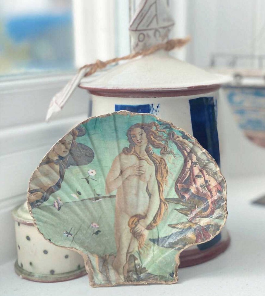 Gifts Periwinkle Shells | Birth Of Venus Scallop