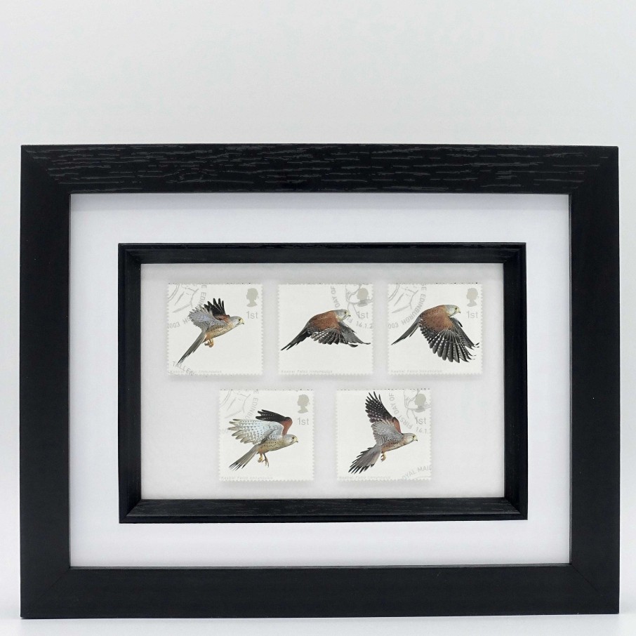 Gifts Postage Stamp Art | Birds Of Prey - Kestrel