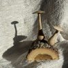 Gifts Wildwood Woodturning | Woodland Mushroom Pair