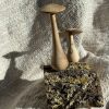 Gifts Wildwood Woodturning | Woodland Mushroom Pair