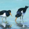 Gifts Judy Flanagan Art | Oyster Catchers I - Card